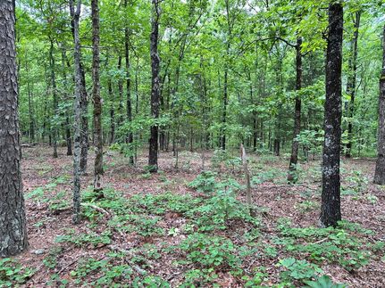 Recreational Property for sale in Cleburne County, Arkansas