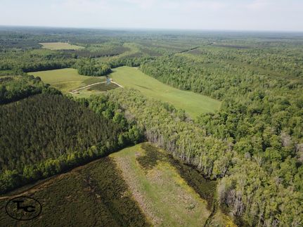 Recreational Property for sale in Marengo County, Alabama