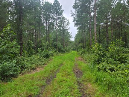 Farm and Ranch for sale in Scotland County, North Carolina