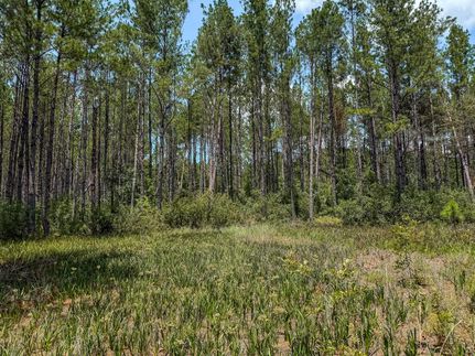 Land for sale in Ware County, Georgia