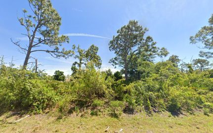 Homesite for sale in Charlotte County, Florida