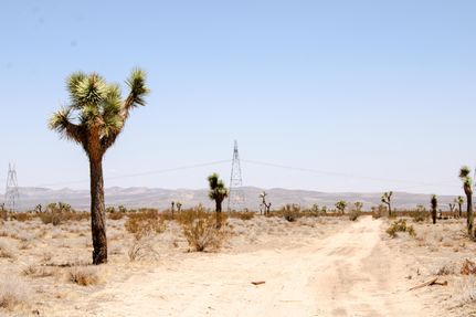 Farm and Ranch for sale in San Bernardino County, California