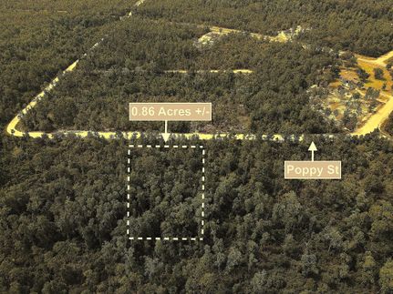 Farm and Ranch for sale in Jackson County, Florida