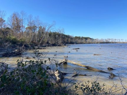 Farm and Ranch for sale in Pasquotank County, North Carolina