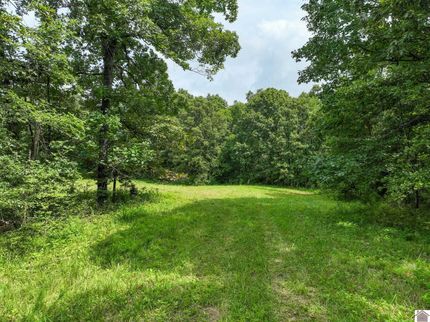Farm and Ranch for sale in Livingston County, Kentucky