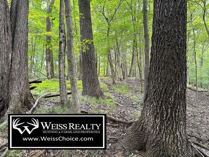 Farm and Ranch for sale in Crawford County, Wisconsin
