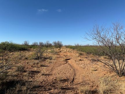 Undeveloped Land for sale in Cochise County, Arizona