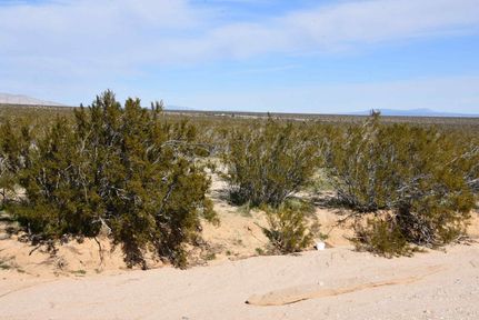 Farm and Ranch for sale in Kern County, California