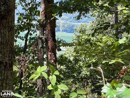 Land for sale in DeKalb County, Alabama