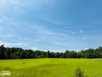 Farm and Ranch for sale in Bladen County, North Carolina
