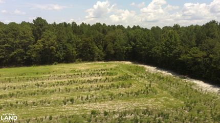 Recreational Property for sale in Harnett County, North Carolina