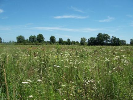 Farm and Ranch for sale in Saint Clair County, Michigan