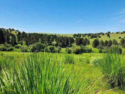 Farm and Ranch for sale in Grant County, Oregon