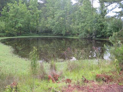 Timberland Property for sale in Newton County, Mississippi
