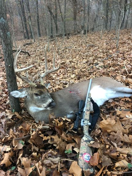 Timberland Property for sale in Massac County, Illinois