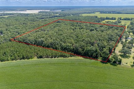Farm and Ranch for sale in Dixie County, Florida