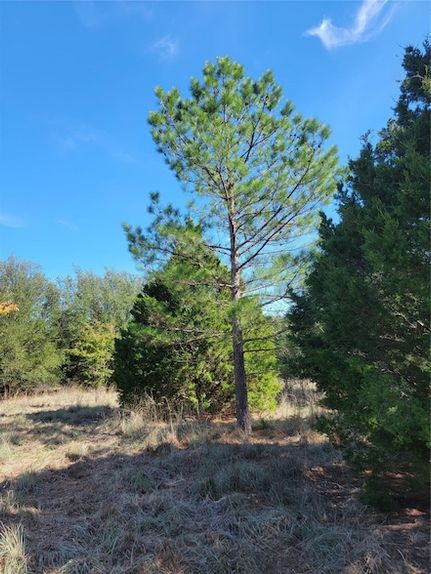 Undeveloped Land for sale in Parker County, Texas