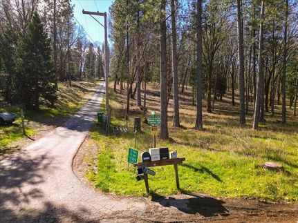 Undeveloped Land for sale in Nevada County, California