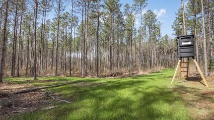 Farm and Ranch for sale in Amite County, Mississippi