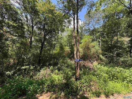 Recreational Property for sale in Marshall County, Alabama