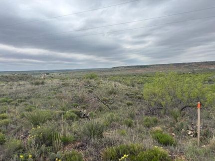 Recreational Property for sale in Potter County, Texas