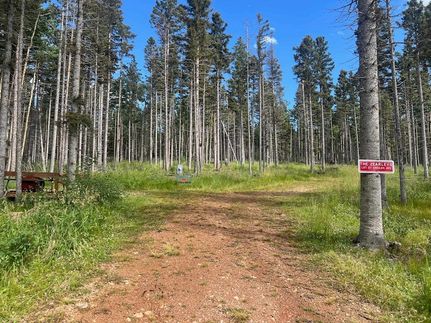 Farm and Ranch for sale in Colfax County, New Mexico