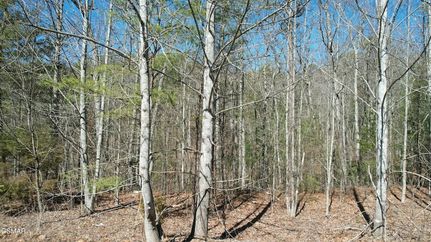Recreational Property for sale in Blount County, Tennessee