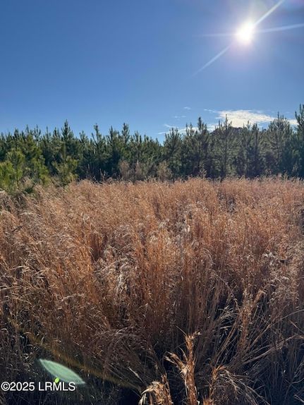 Recreational Property for sale in Allendale County, South Carolina