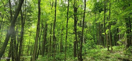 Farm and Ranch for sale in Berkshire County, Massachusetts