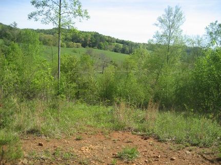 Recreational Property for sale in Carroll County, Virginia