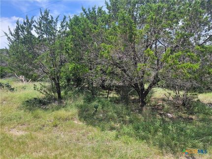 Farm and Ranch for sale in Bell County, Texas