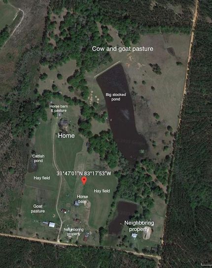 Farm and Ranch for sale in Ben Hill County, Georgia