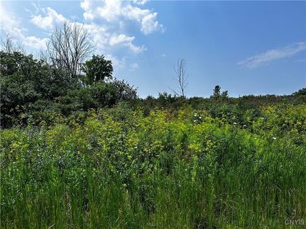 Farm and Ranch for sale in Jefferson County, New York