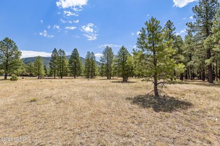 Farm and Ranch for sale in Coconino County, Arizona