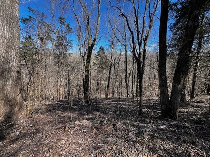 Recreational Property for sale in Stewart County, Tennessee