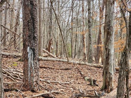 Recreational Property for sale in Franklin County, Virginia