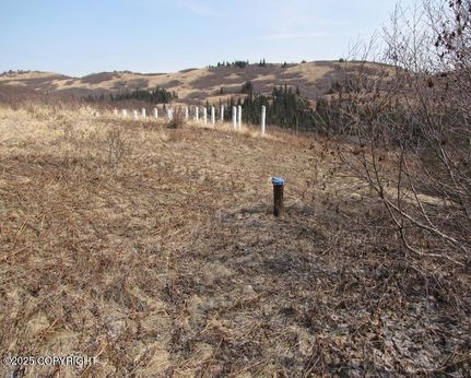 Farm and Ranch for sale in Kenai Peninsula Borough, Alaska