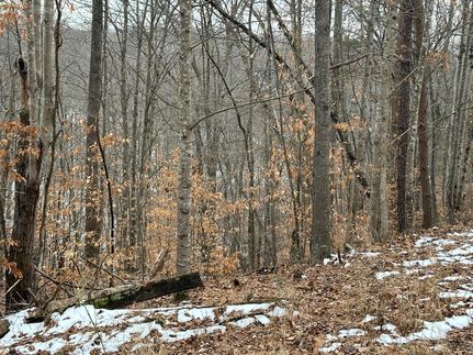 Timberland Property for sale in Bedford County, Virginia