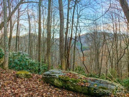 Timberland Property for sale in Madison County, North Carolina