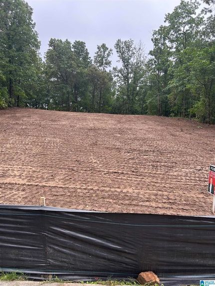 Undeveloped Land for sale in Shelby County, Alabama