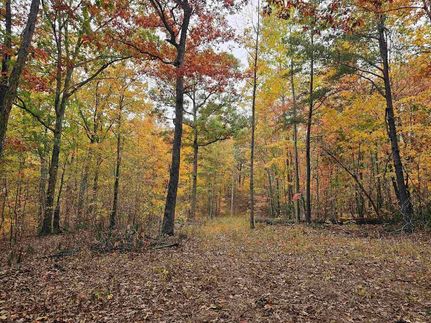Timberland Property for sale in Lincoln County, West Virginia