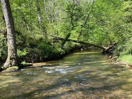 Recreational Property for sale in Cullman County, Alabama