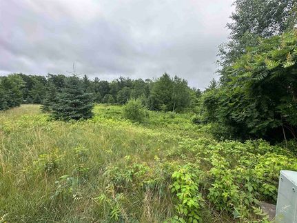 Undeveloped Land for sale in Wood County, Wisconsin