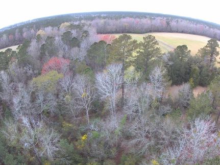 Undeveloped Land for sale in Georgetown County, South Carolina
