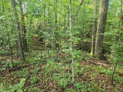 Recreational Property for sale in Randolph County, Alabama