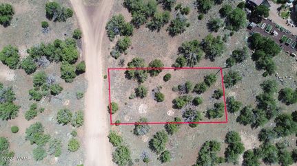 Farm and Ranch for sale in Navajo County, Arizona