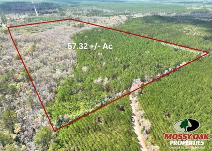 Undeveloped Land for sale in Brantley County, Georgia