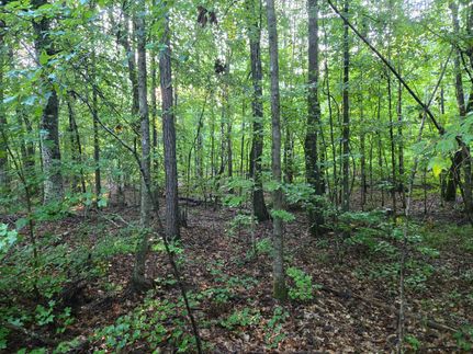 Undeveloped Land for sale in Randolph County, Alabama