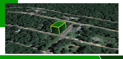 Undeveloped Land in Marion County, Texas