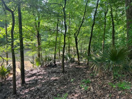 Timberland Property for sale in Madison Parish, Louisiana